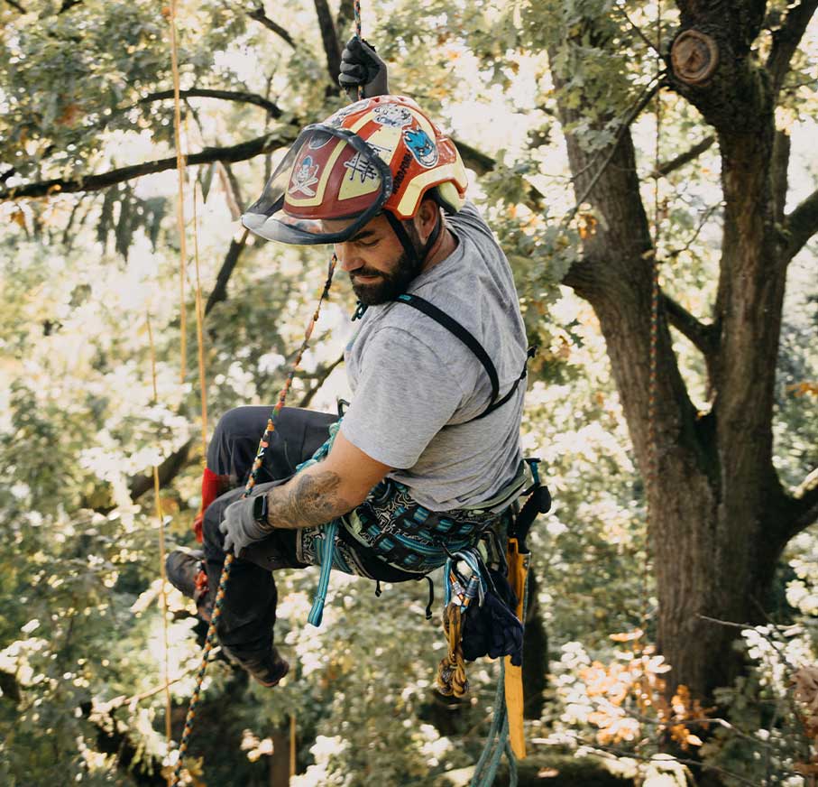 Zur Informationsseite 