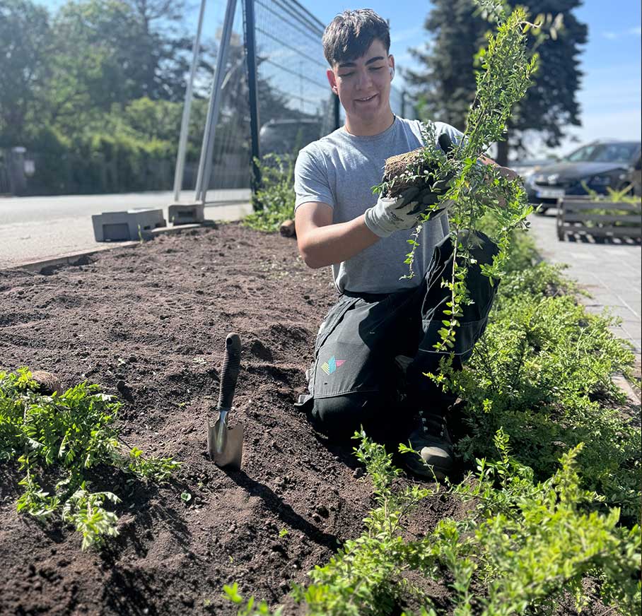 Zur Informationsseite 